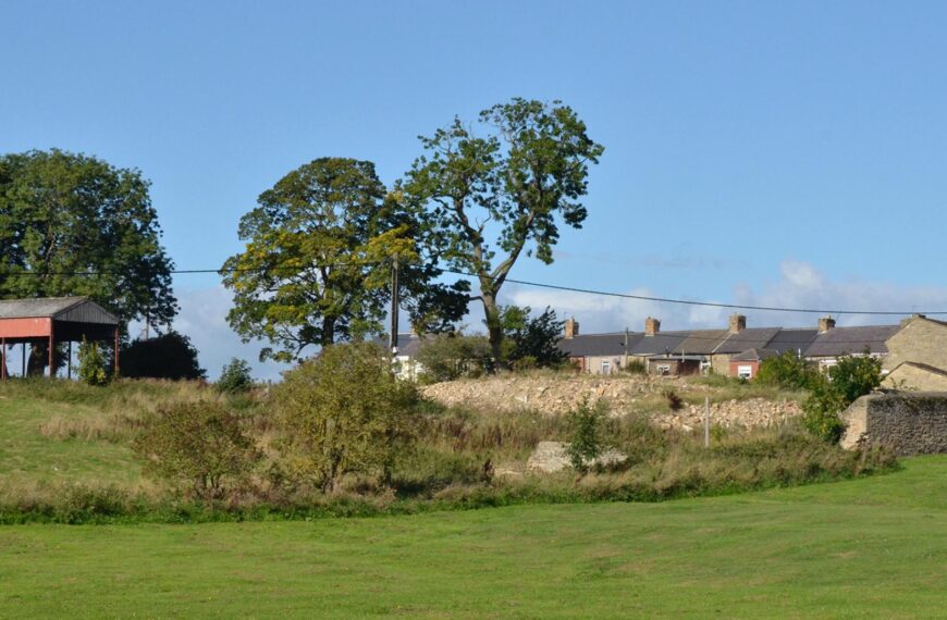 Opposition over plans for up to 40 homes in Evenwood