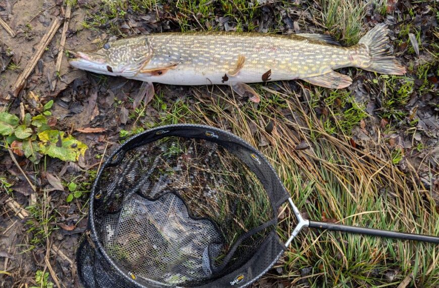 My great expectations for trout season