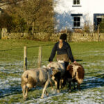 Images of hill farmers’ grit and tenacity
