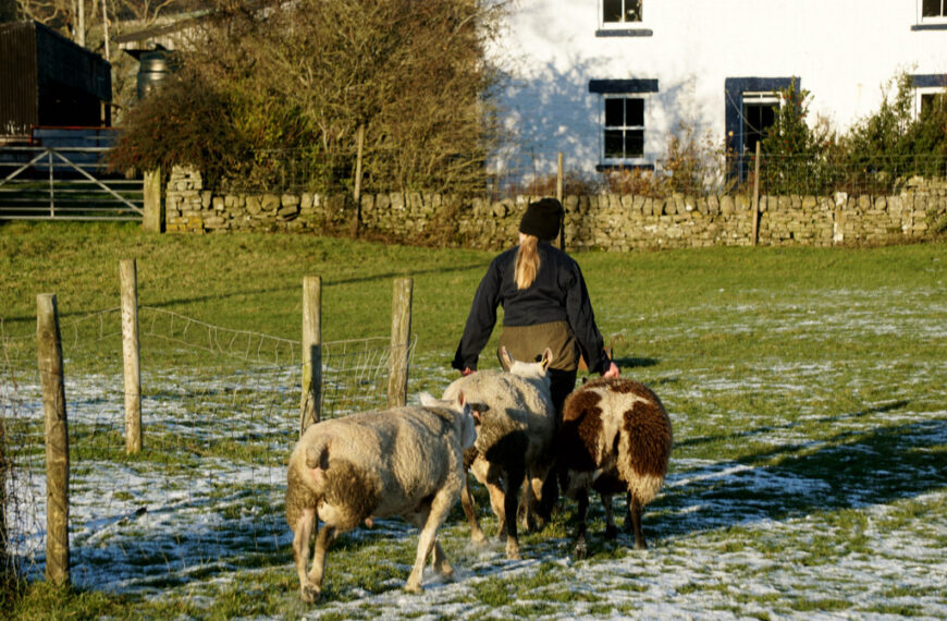 Images of hill farmers’ grit and tenacity