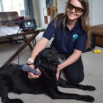 Emily’s mission to help pets in pain