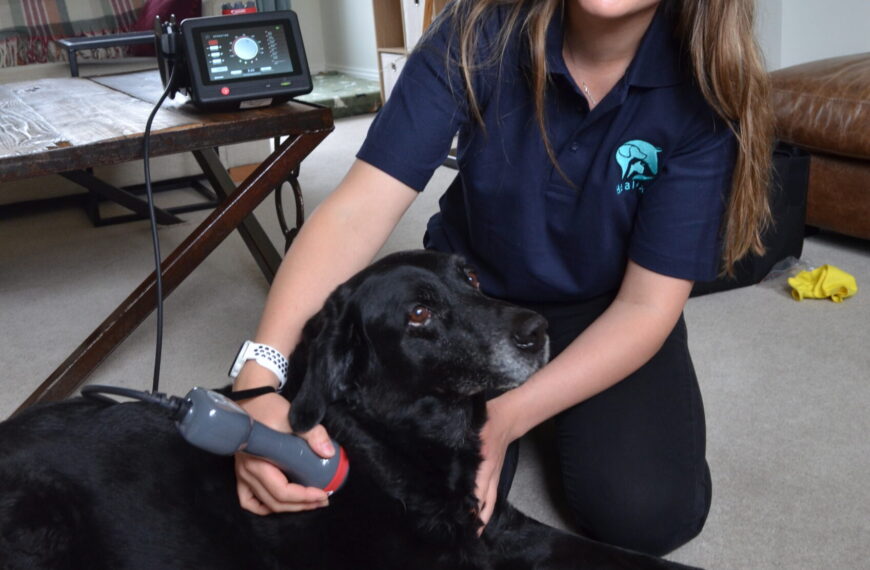 Emily’s mission to help pets in pain
