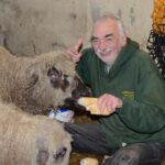 Animal sanctuary plea for more volunteers