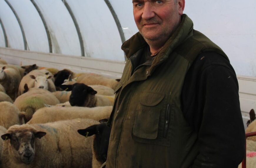 Robin shares a few secrets of his success