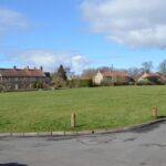 Wildflower meadows plans for Whorlton village green&hellip;