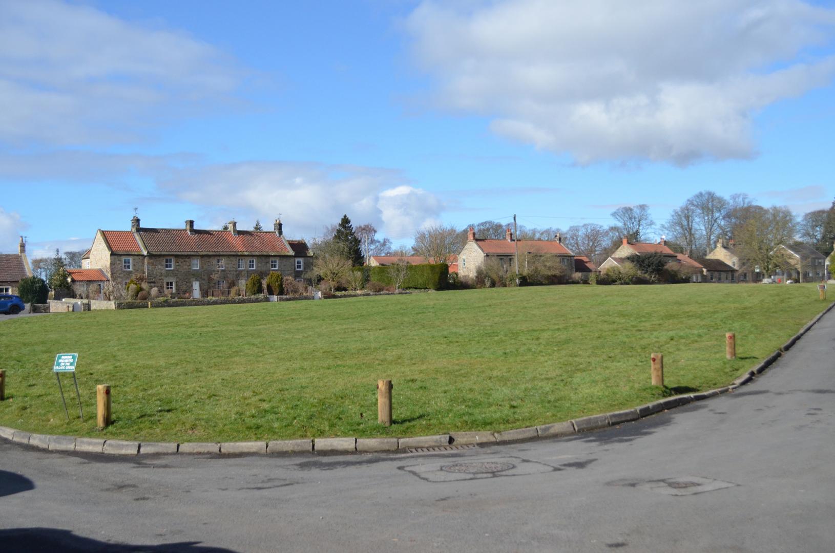 Wildflower meadows plans for Whorlton village green&hellip;