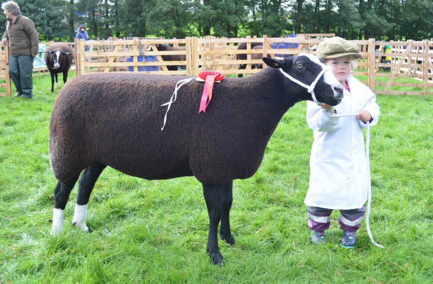 Terrier racing, perfect produce and a day to savour at Bowes Show this Saturday