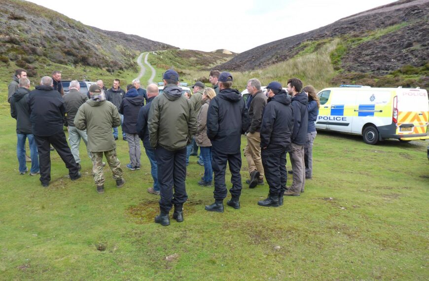 Fighting raptor crime soars to new…