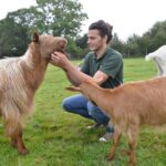 Teesdale animal sanctuary says ‘au revoir’ to…