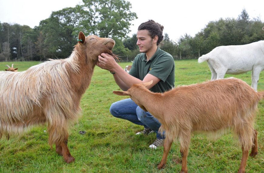 Teesdale animal sanctuary says ‘au revoir’…