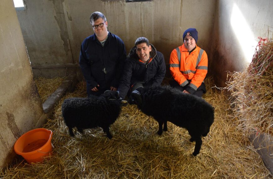 Fundraising appeal to keep 1,200 animals fed