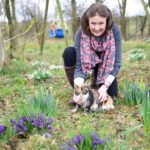 Family fun day to mark High Sheriff’s&hellip;