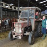 Secrets of a successful dairy herd