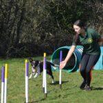 You can teach old (and young) dogs&hellip;