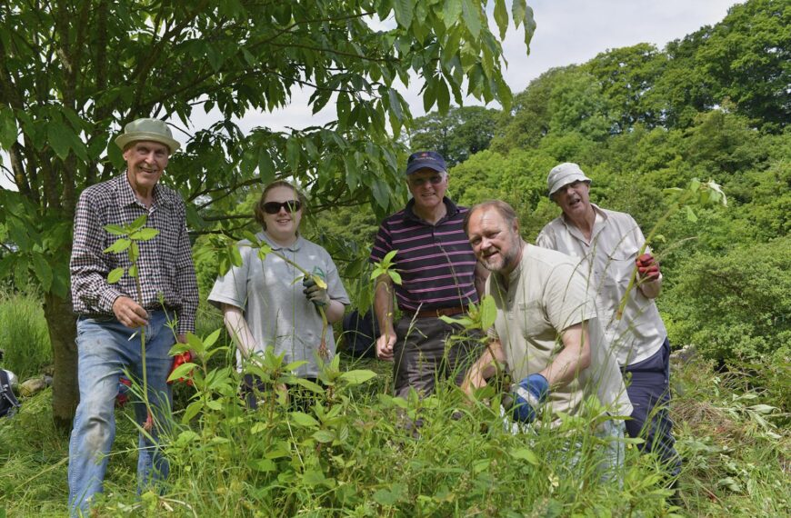 Simple steps to tackle the spread of non-native invasive species