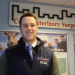 Vital importance of the ‘three Qs’