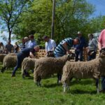 Get set for a summer packed with&hellip;