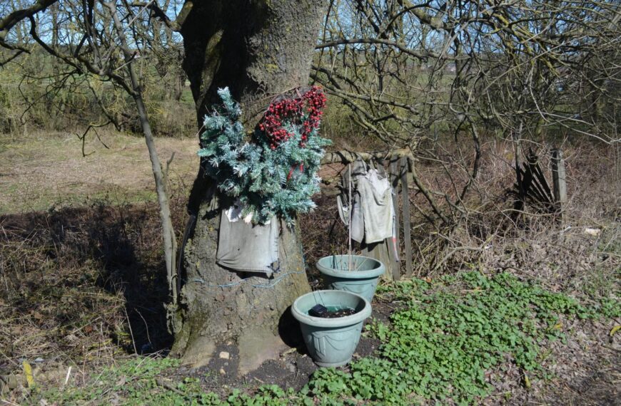 Devastated mother pleads for return of teenage son’s ashes taken from memorial site