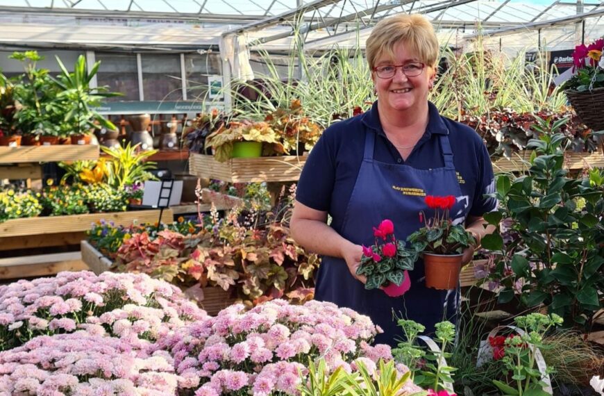 £1.1m plan to revamp Ravensworth Nurseries