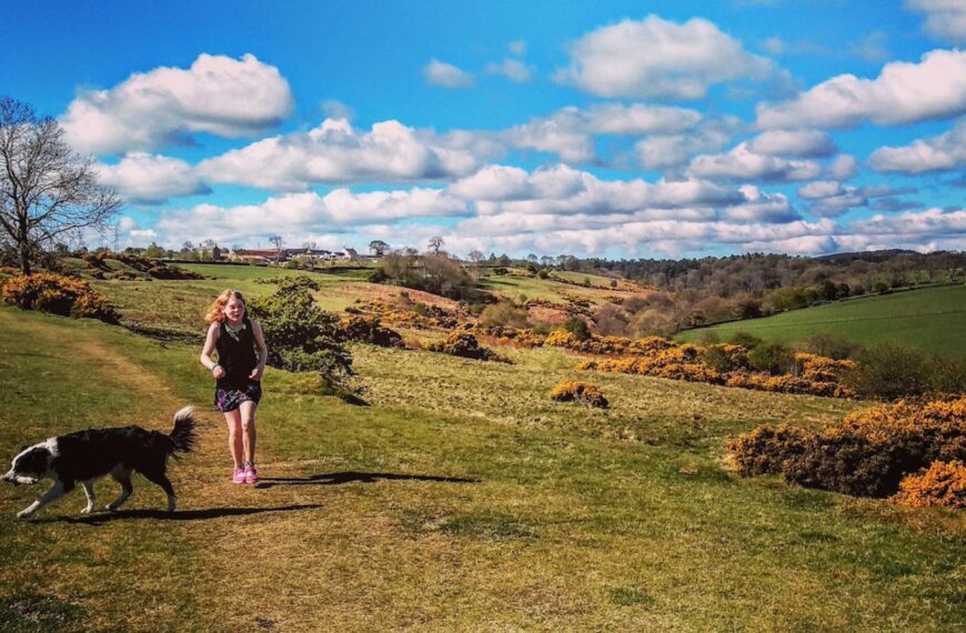 Walk of the week: Step back in time on Cockfield Fell