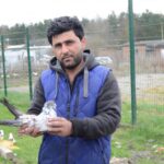 Theft of pigeons worth £3,000 from business