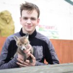 Six-week-old fox thinks it’s one of us