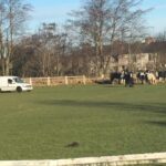 Plea over loose horses after pitch invasion&hellip;