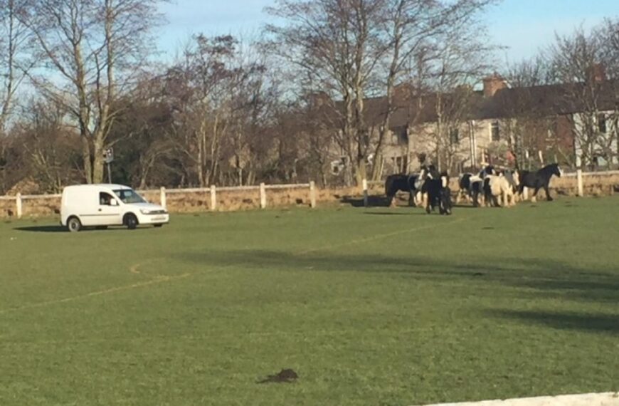Plea over loose horses after pitch invasion in Evenwood