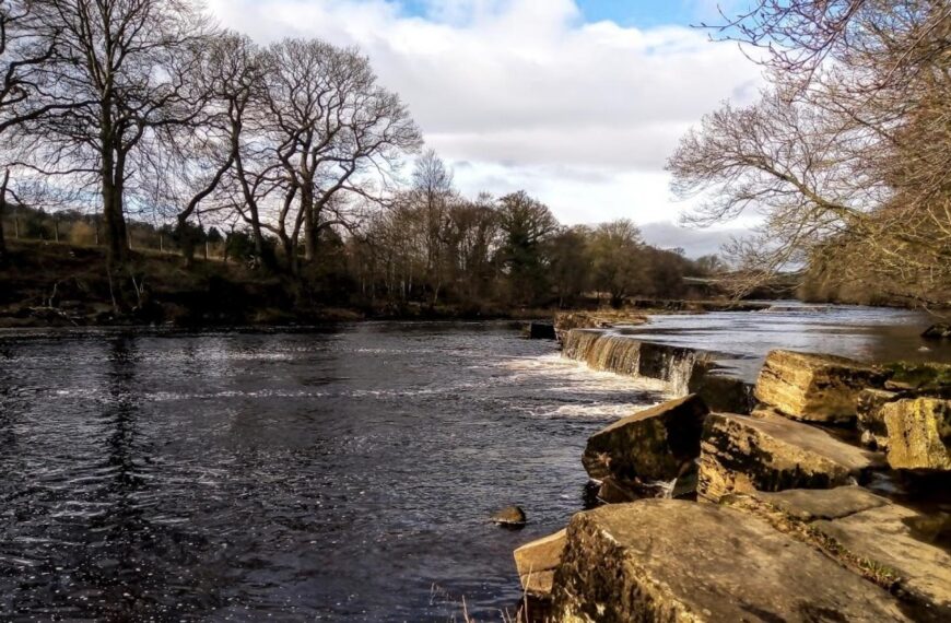 A walk to put a spring in your step