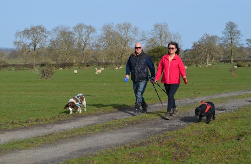Joint plea to keep dogs on a lead near livestock