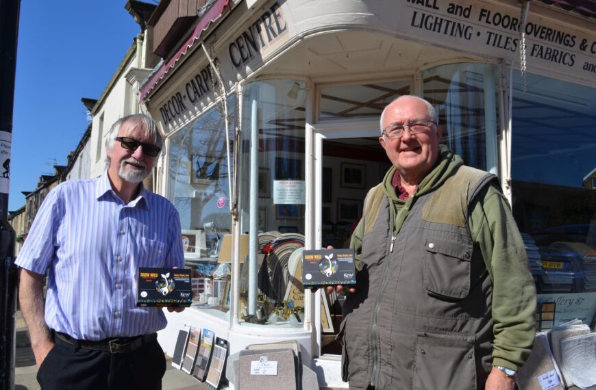 Planting the seed for a colourful Barney