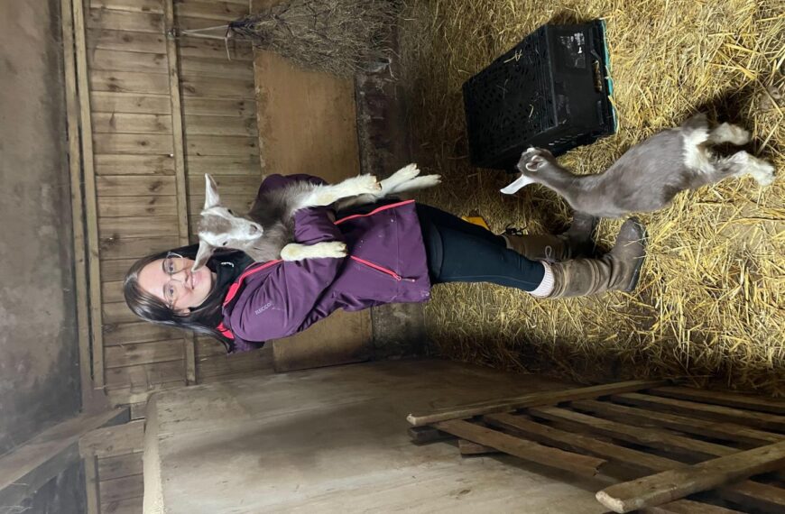 Rehabilitation centre at dale animal shelter would help native wildlife