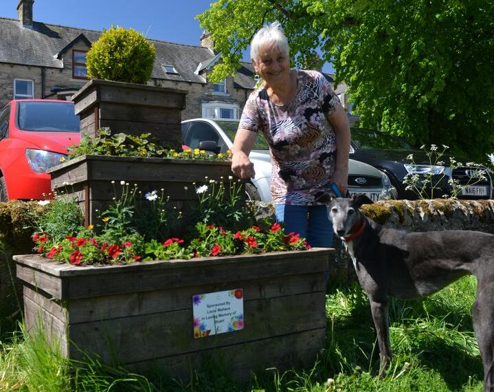 Last efforts before competition judgement day