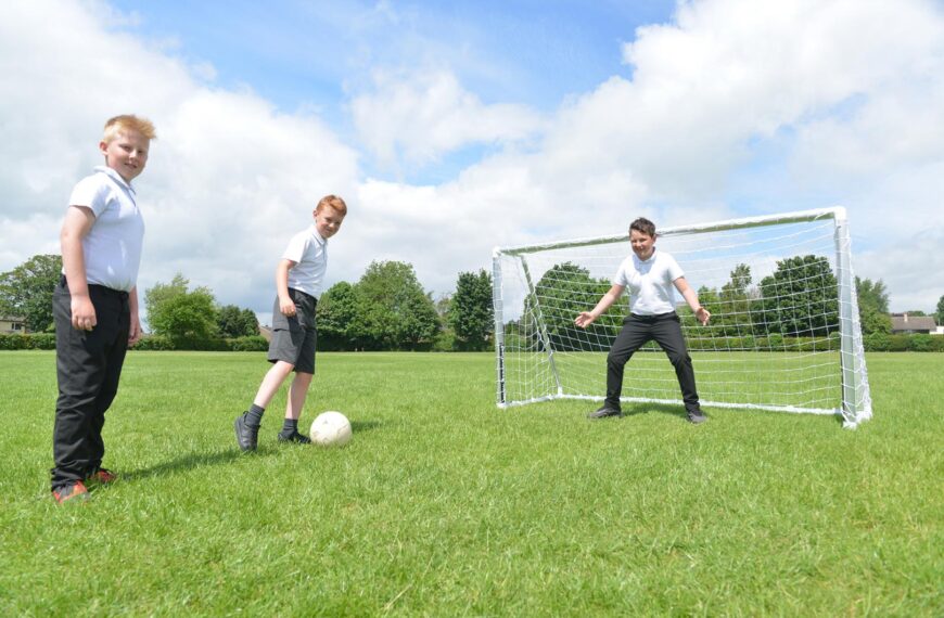 Town school nets new goals