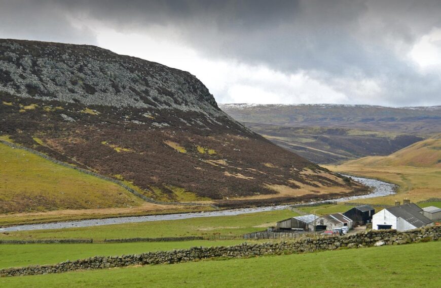 Escape for a walk on the wild side in upper Teesdale