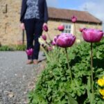 Riot of colour as Whorlton residents open&hellip;