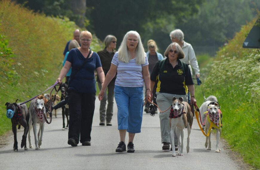 Delight at return of fundraising ‘walkies’