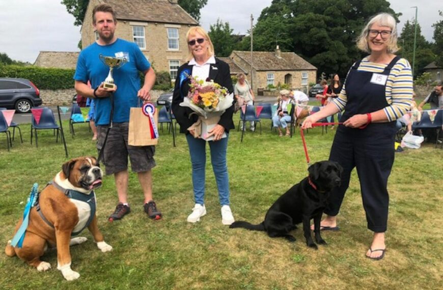 Boxer Milo is judged top dog at fun show