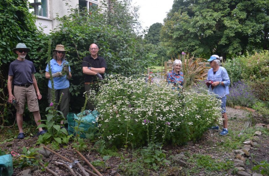 Lovely’ community garden is reclaimed