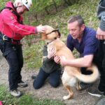 Dog rescued near Cotherstone after becoming stranded&hellip;