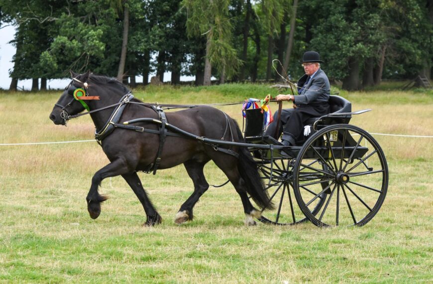 It’s great to be back’ says Dales Pony Society