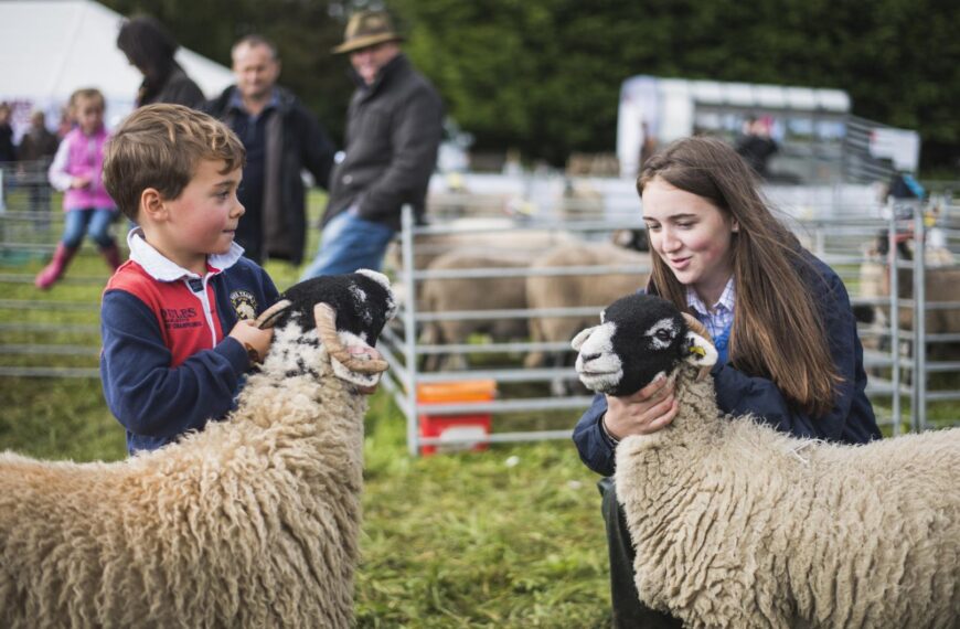 Traditional upper dale show celebrates Swaledales