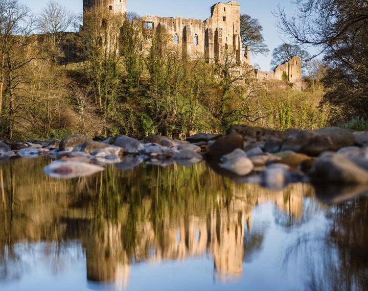 Strange year for wildlife on Tees