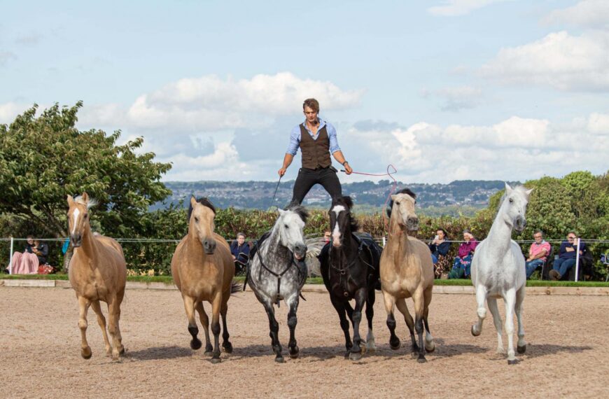 TV horse stunt rider wows with a theatrical display