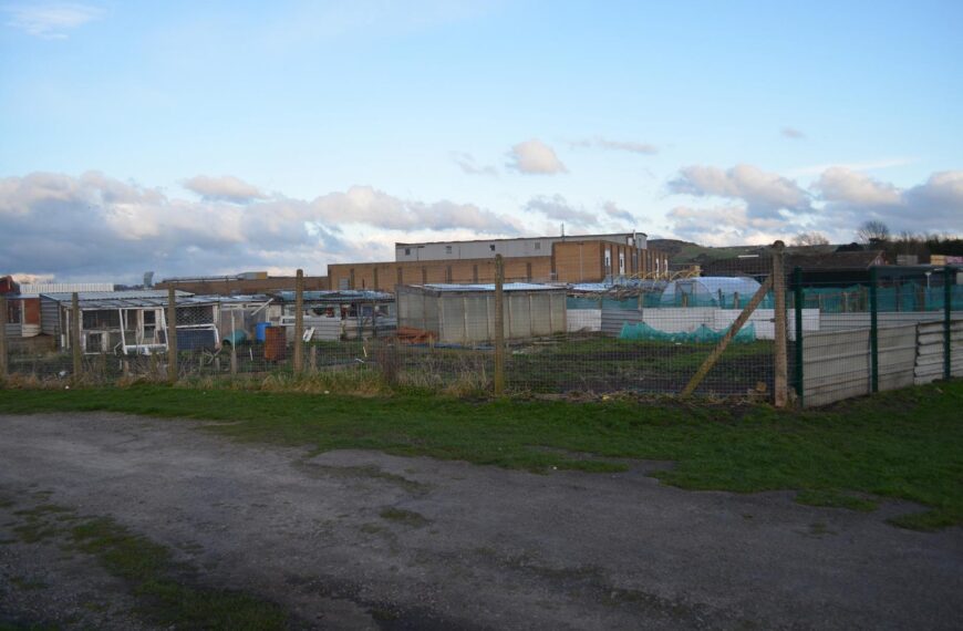 Successful bid for cash will help improve allotments in West Auckland