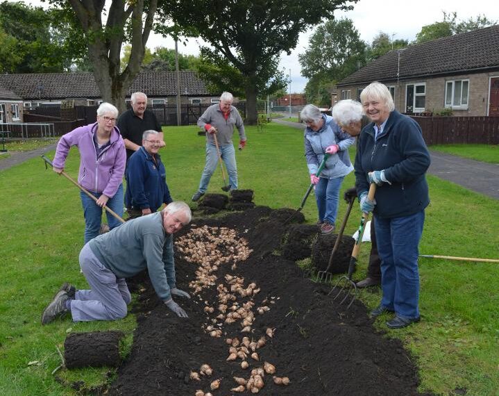 20,000 bulbs will bring a blaze of spring colour to West Auckland