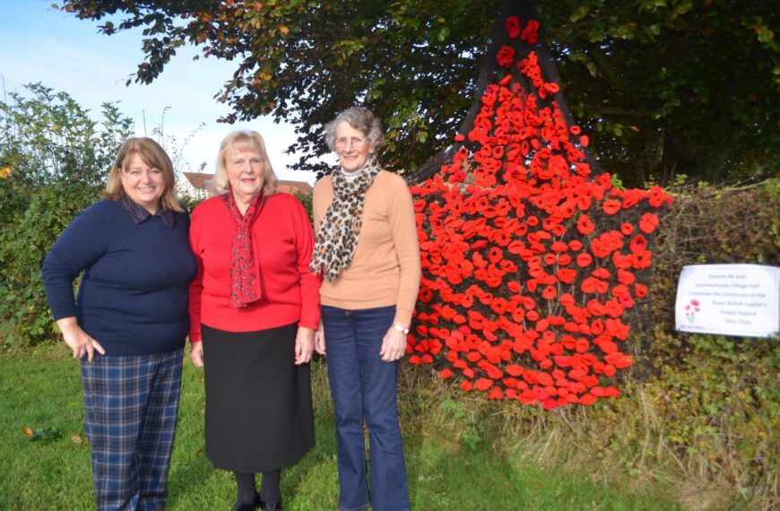 WI members create stunning poppy display