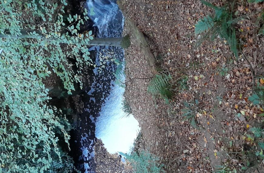 Beck pollution causes concern