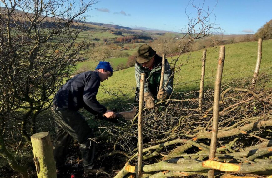 Laying the groundwork to safeguard hedges