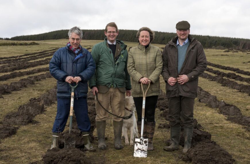 Teesdale man heads huge forestry scheme in Northumberland